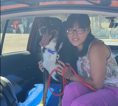 A great day for Waylon: 2 years and 5 days later special pup finds his forever home