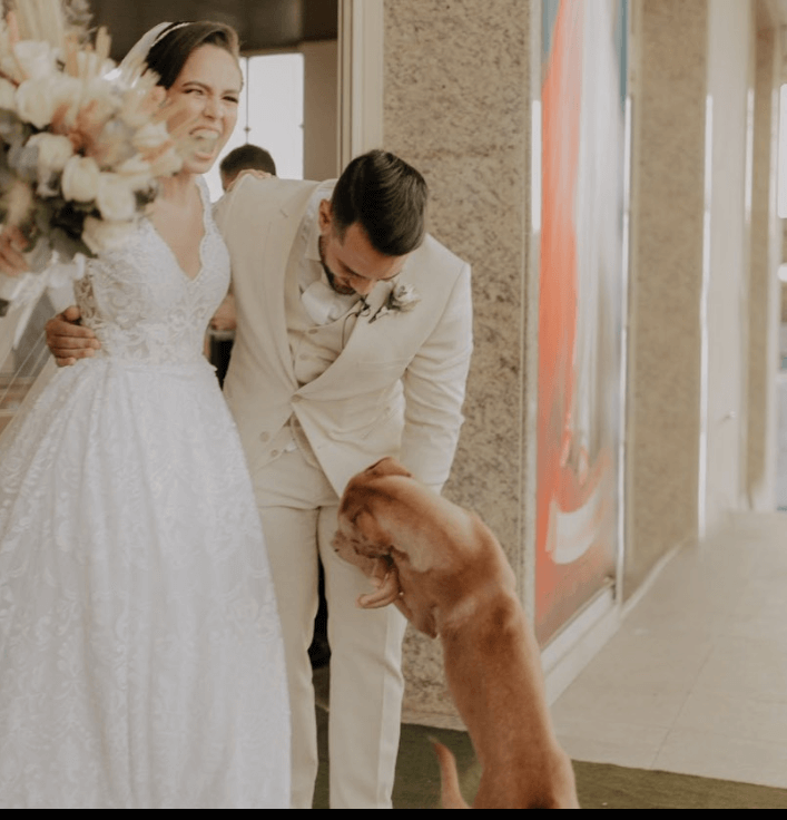 Stray dog arrives as uninvited guest at wedding and became part of the family