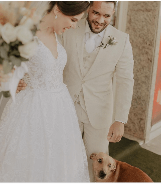 wedding-dog