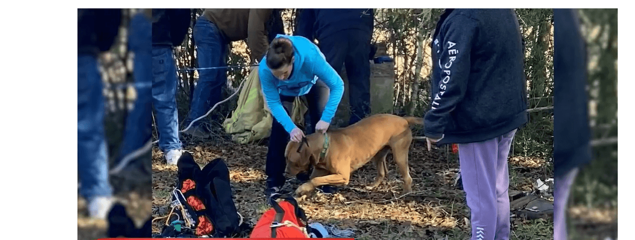 Dog jumped into owners’ arms after being rescued from 30-foot well