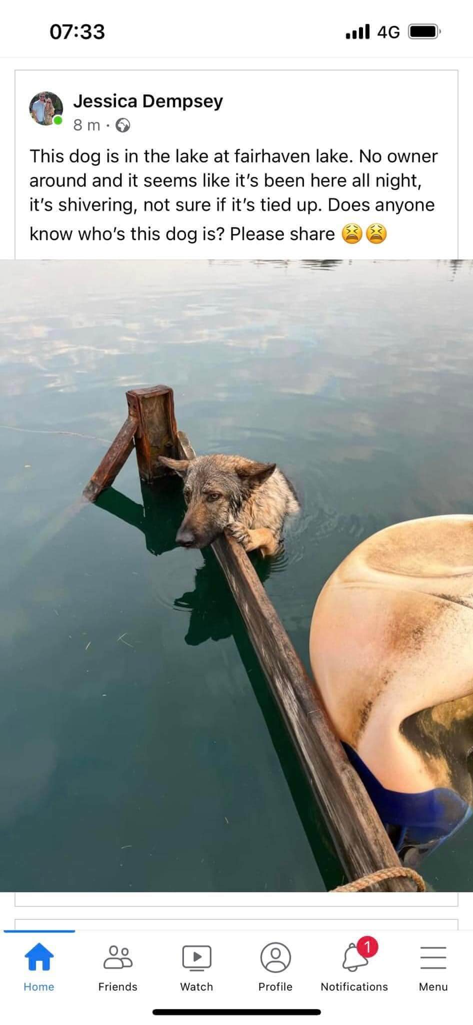 Poor dog rescued from drowning at Lancashire lake after clinging to wooden dock overnight