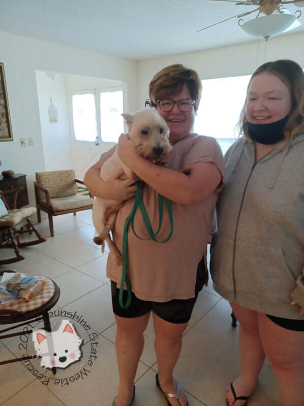 westie-rescue-3
