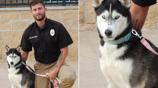 Handsome shelter worker posing with dog up for adoption causes social media stir