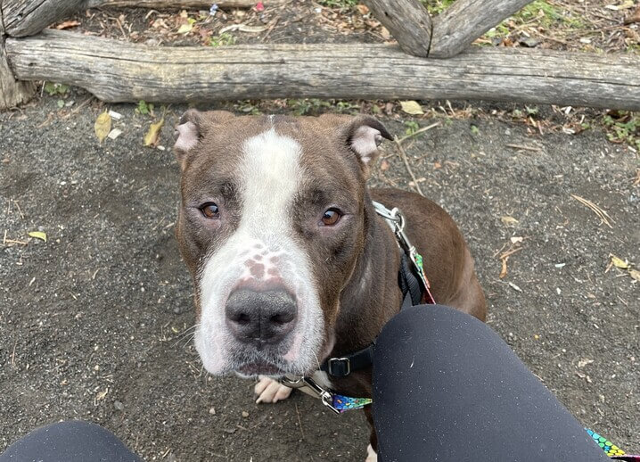 willow-death-row
