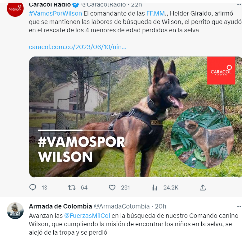 wilson-columbian-army-2