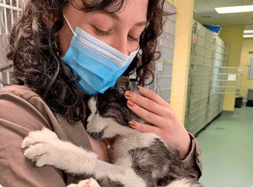 Woman adopts 20 yr old cat