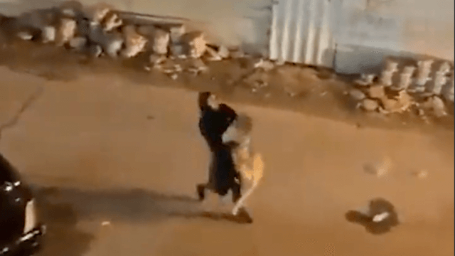 Woman catches lion with bare hands