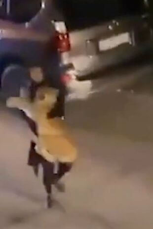 woman-catches-lion-with-bare-hands-2
