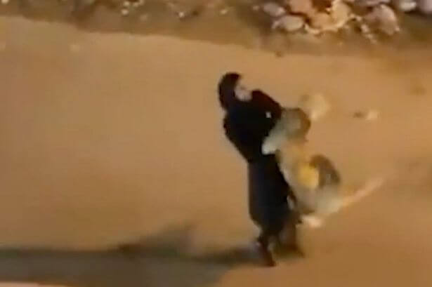 woman-catches-lion-with-bare-hands1