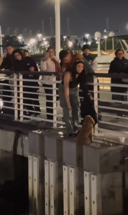 Woman’s daring rescue on bridge ledge brings dog to safety goes viral