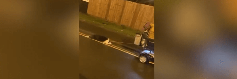 woman-dog-3