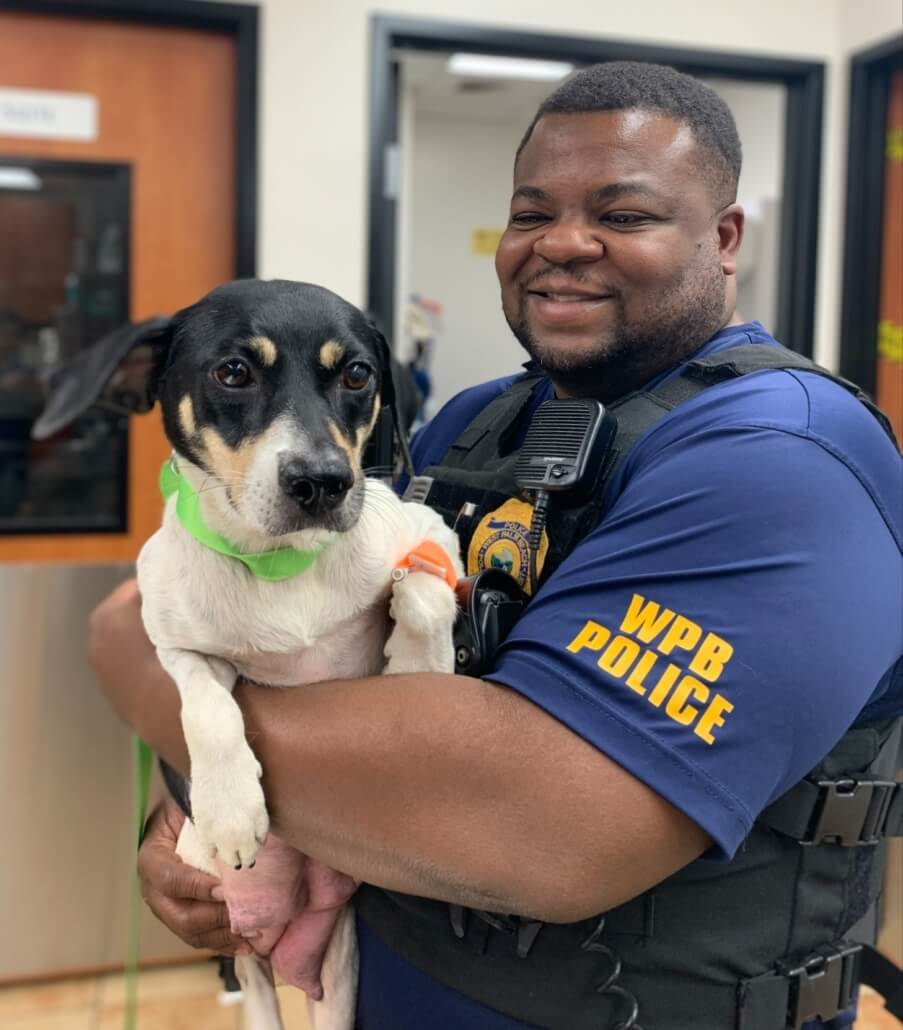 wpb-dog-rescue-903x1030-1