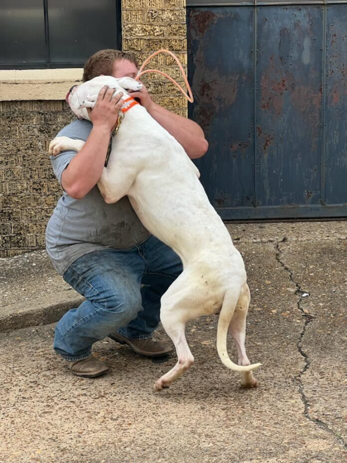 Just when he thought his ‘time was up’ his social media photo gained traction and…