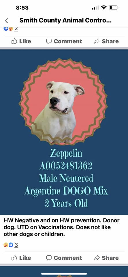 zeppelin-2