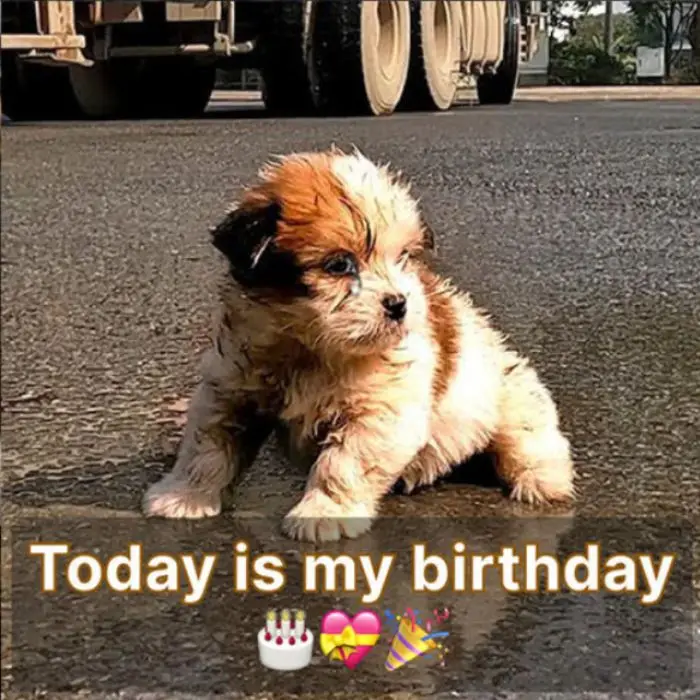 I got dumped on my birthday today, can I get some love from everyone?