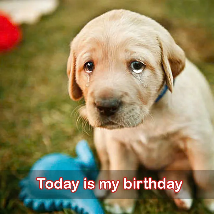 Today is my birthday but I still haven’t received any wishes, I’m very sad