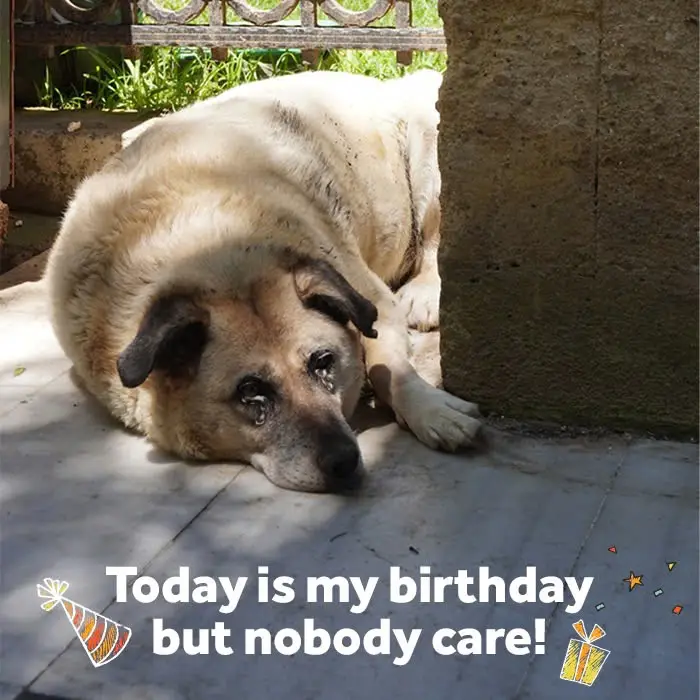 Today is my birthday but I feel sad because no one cares