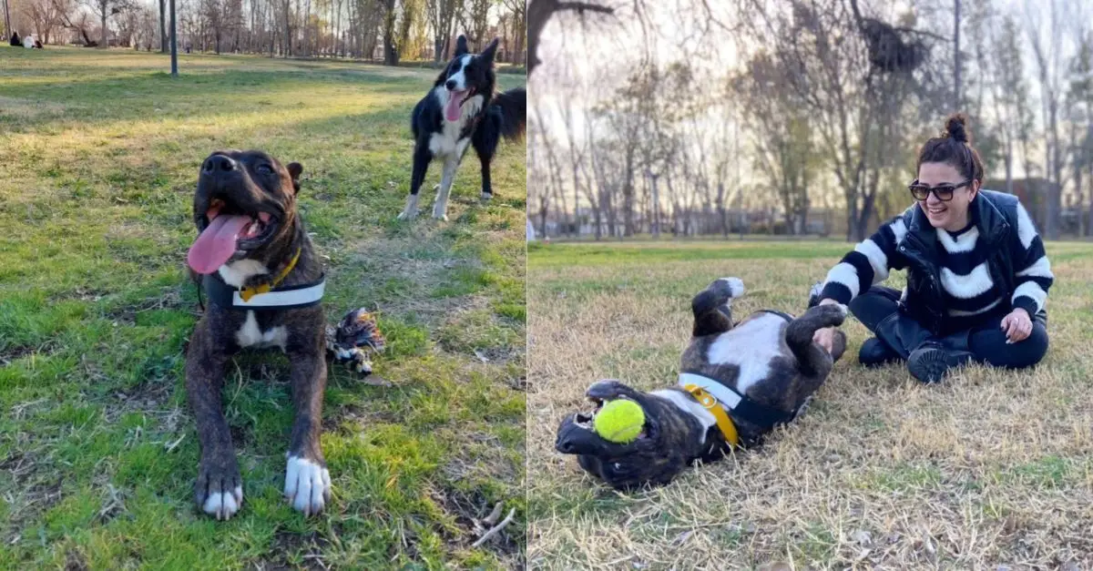 An employee discovers an adorable individual resting in the bed display of a linen store