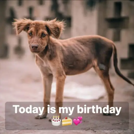 Today is my birthday but I don’t have a home to return to