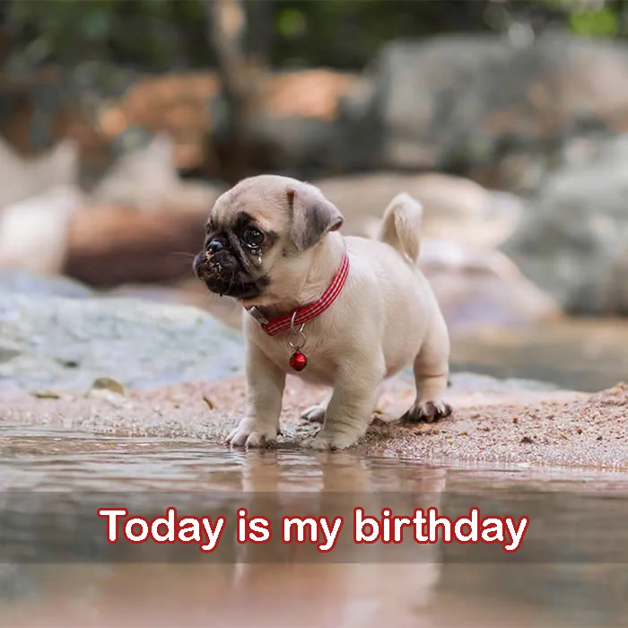 Today is my birthday but also the day I was abandoned