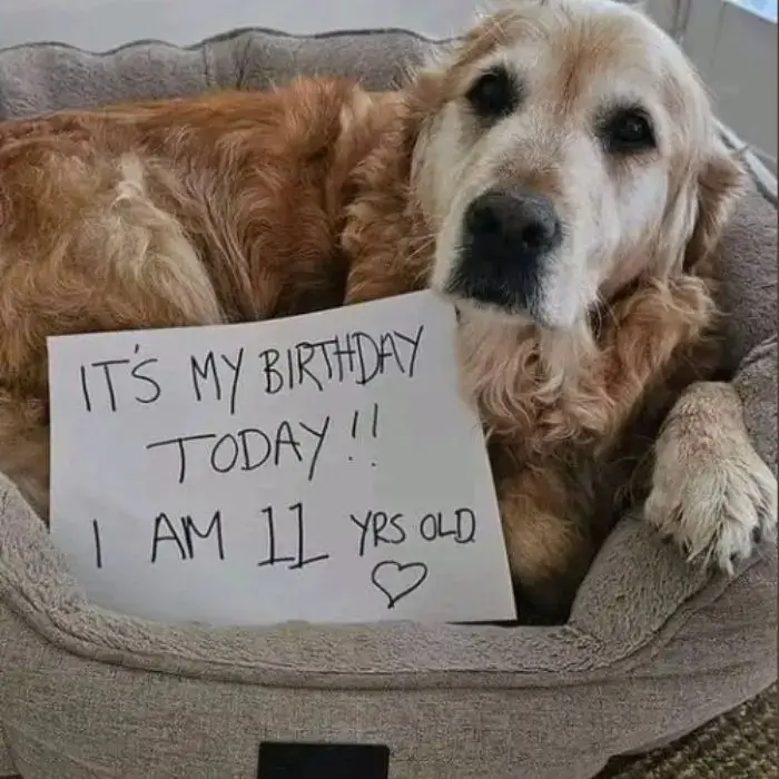 It’s my birthday today, hope to receive love from everyone