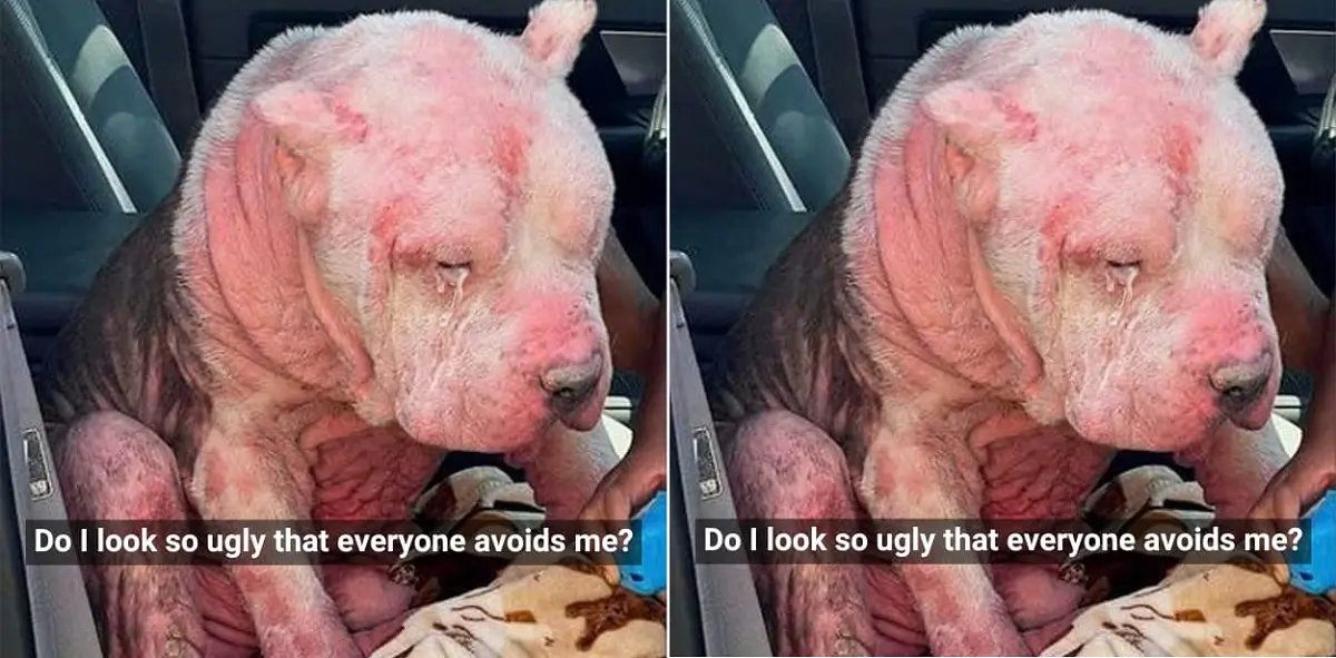 Do I look so ugly that everyone avoids me?