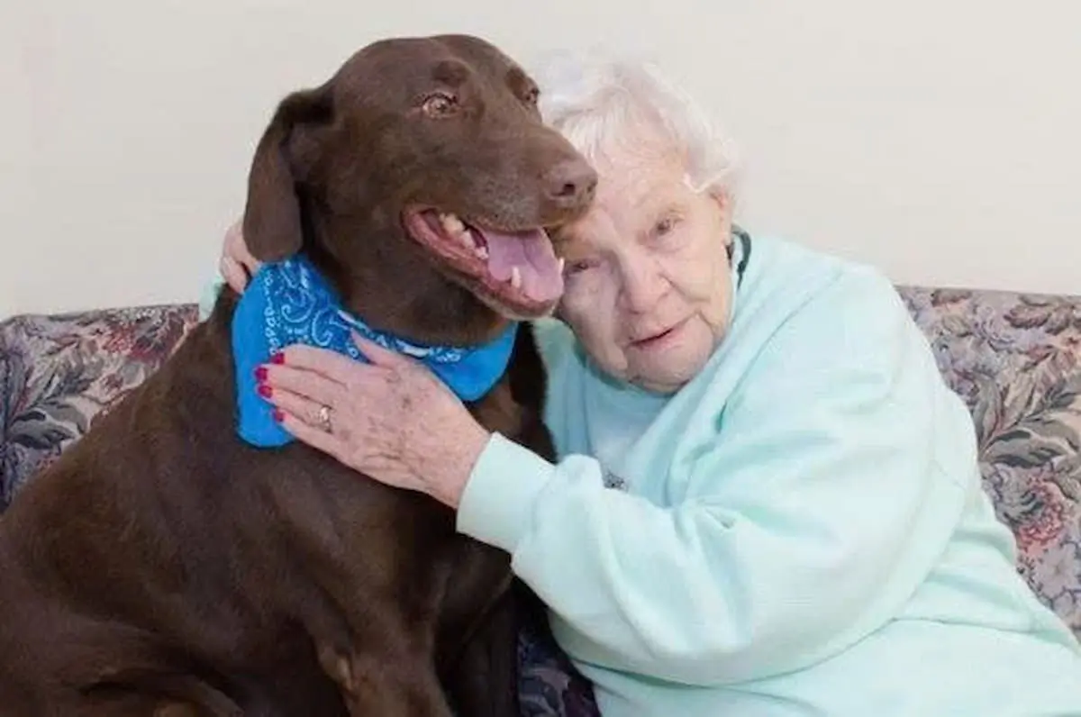This woman loves her dog unconditionally and worries about who will take care of him when she is no longer around