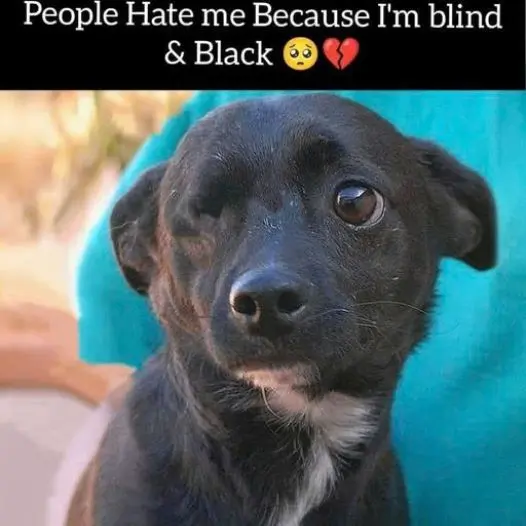 People hate me because I’m blind and black, so no one sent me birthday wishes today