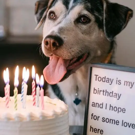 Today is my birthday and I hope for some love here