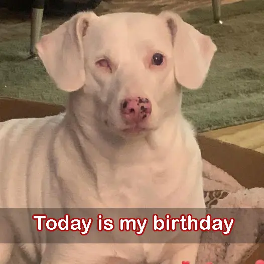 Today is my birthday but I have waited a long time and still have not received any wishes