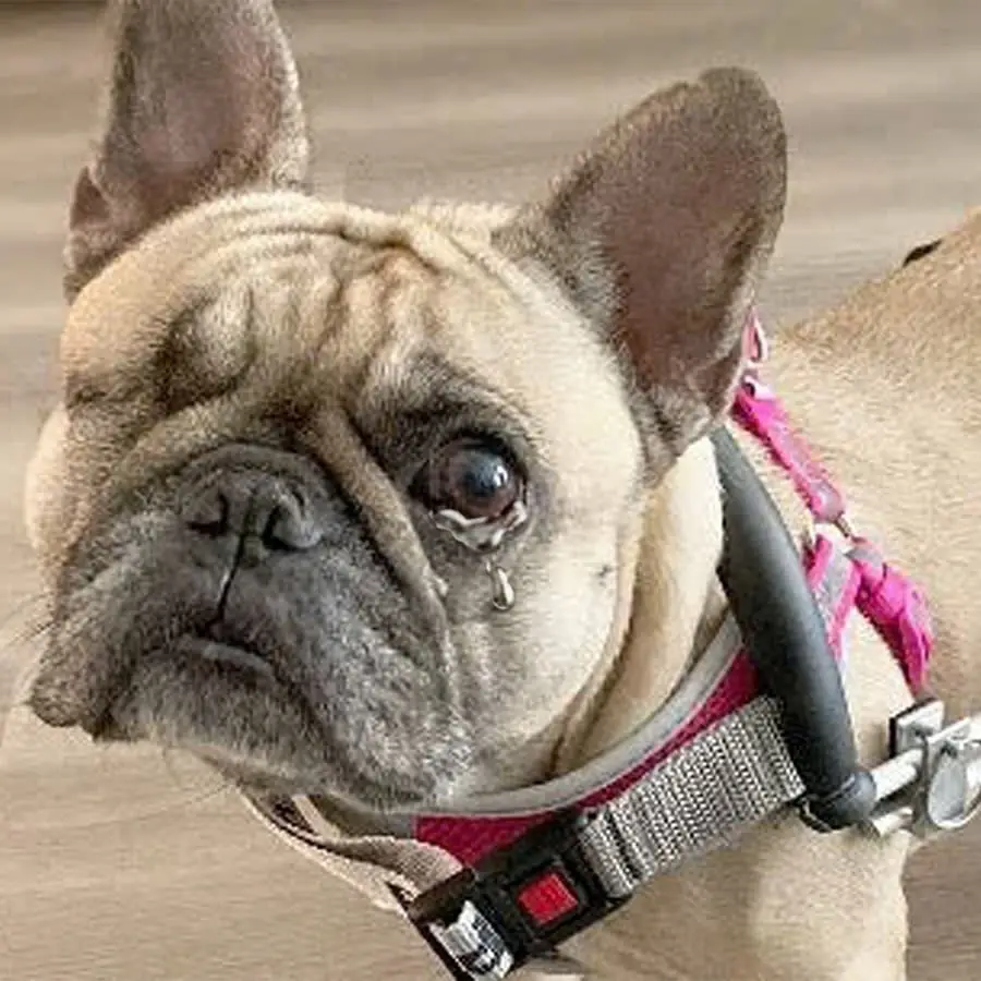 No one would love a blind and disabled guy like me, right?