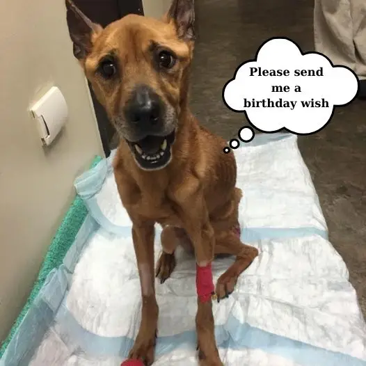 It’s sad that I didn’t receive any birthday wishes on my special day today