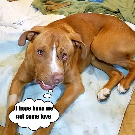 What a boring and quiet 9th birthday, no one wants to wish me a happy birthday?