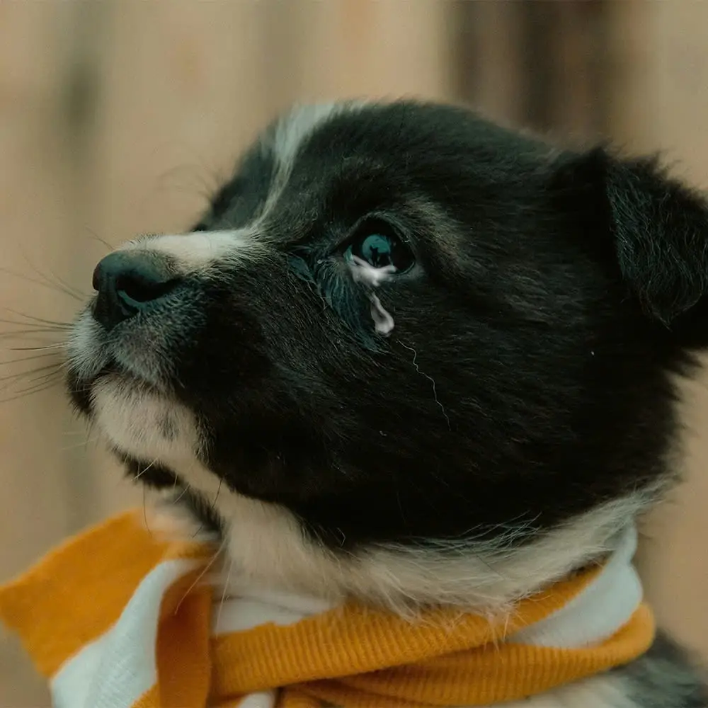 Today is my birthday but also the day I was abandoned, hope to receive love from everyone