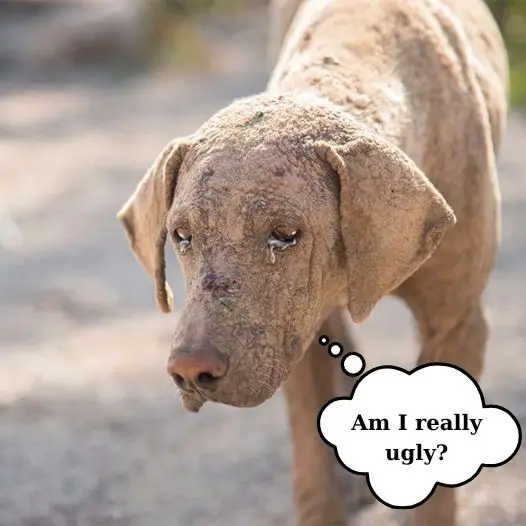 They say I’m ugly and sloppy so no one loves me, is that true?