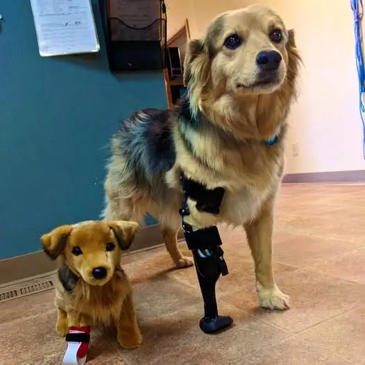 I hurt my leg but I hope people don’t hate me because of that