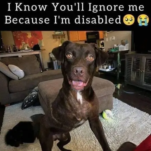 I know you will avoid me because I am ugly but today is my birthday, I hope everyone can give me some love