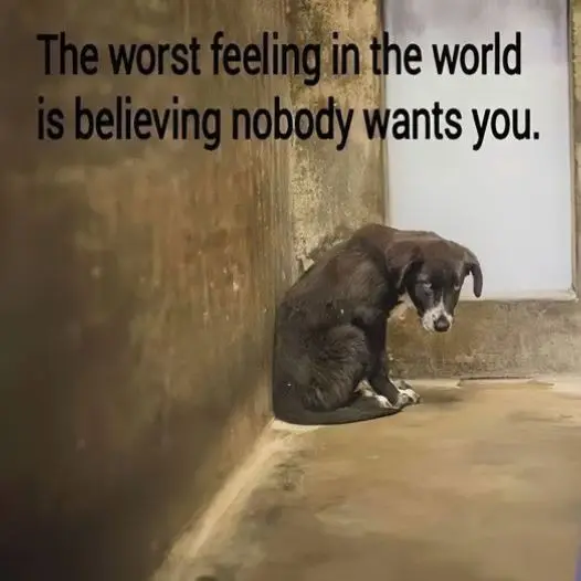 The worst feeling in the world is believing nobody wants me