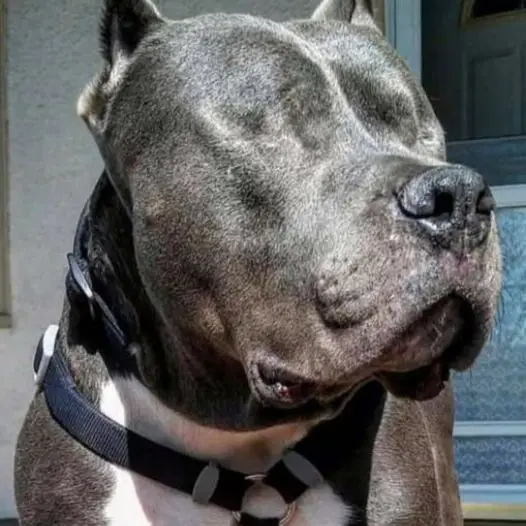 I can’t see but my mom says I’m very beautiful, so why hasn’t anyone sent me birthday wishes yet?