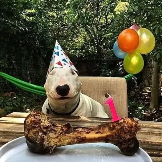 Today is my birthday, I hope everyone can send me good wishes