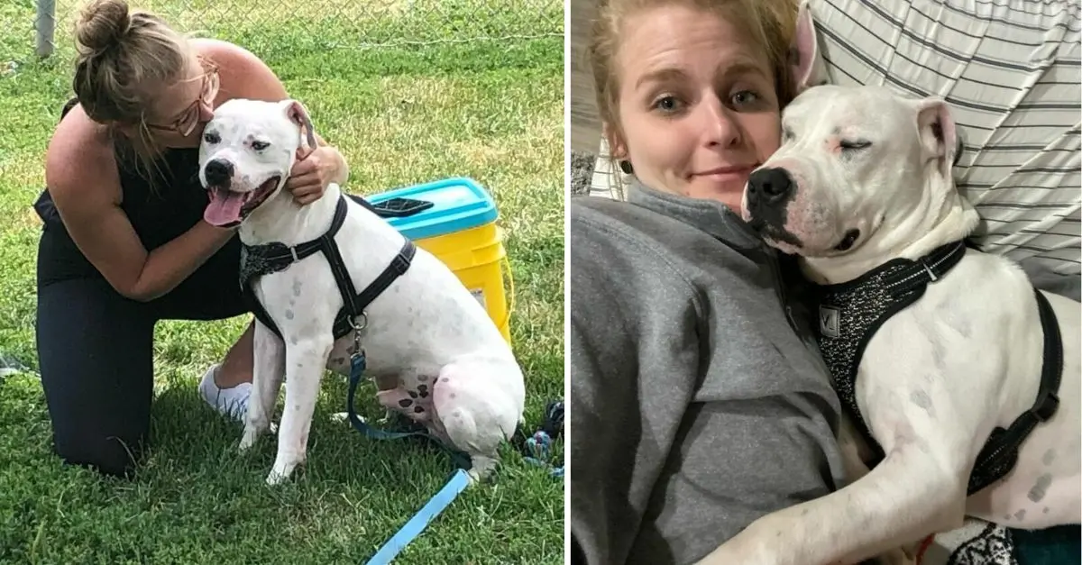 An Ohio woman relinquished a dog she had fostered, only to discover something astonishing about him years later
