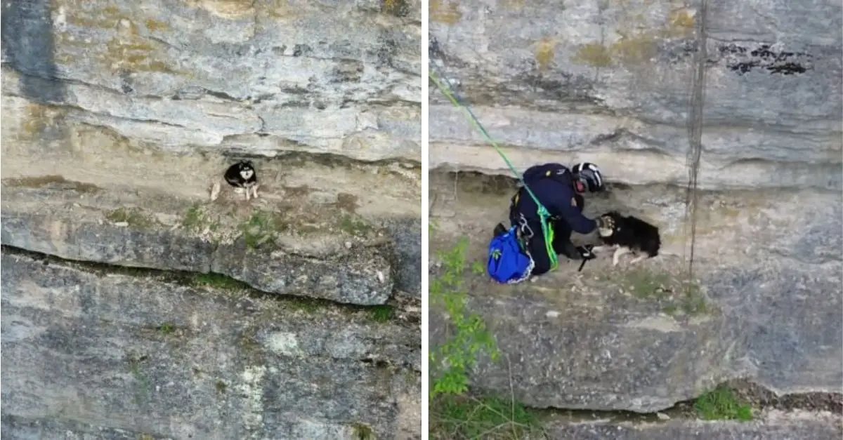 A Kentucky woman sees a tiny dot on a cliff, only to discover it’s an abandoned dog