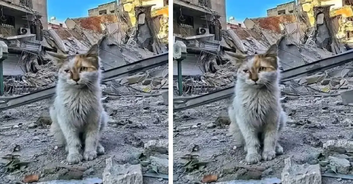 People walk past me with indifferent, emotionless looks, and it makes me feel so sad ‎