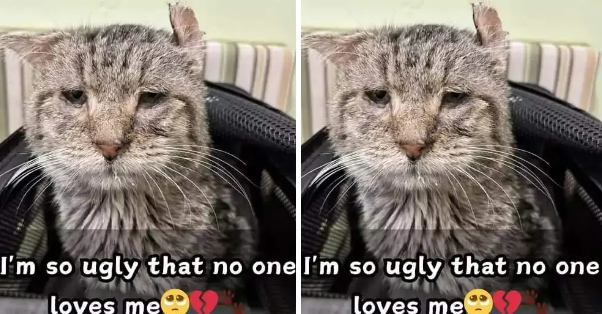Is it because I’m ugly that no one loves me?