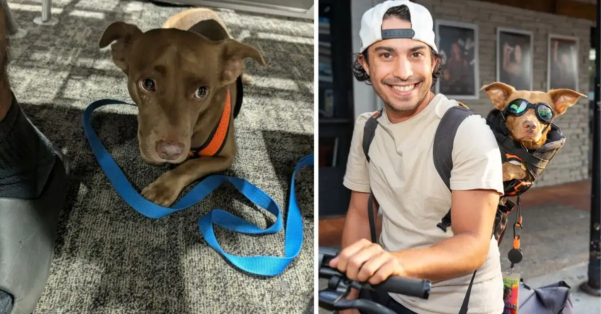 A Florida puppy that previously struggled to make eye contact with people now delights in breathtaking bike rides while nestled in a backpack